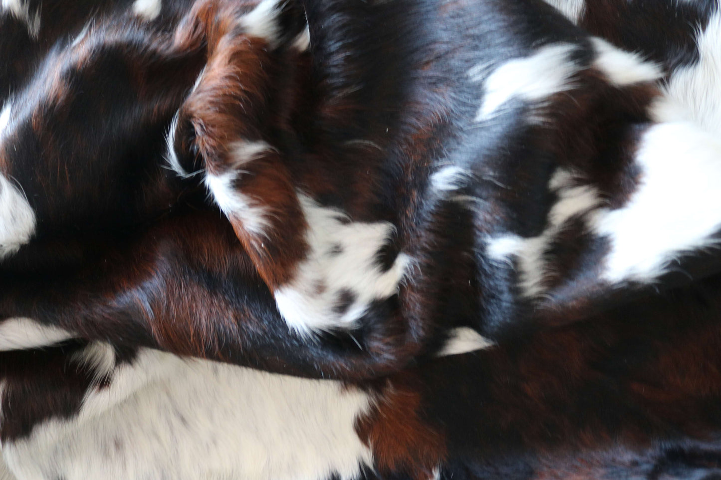 100291 -TRICOLOR  Cowhide Rug - Quebecuir Premium Collection