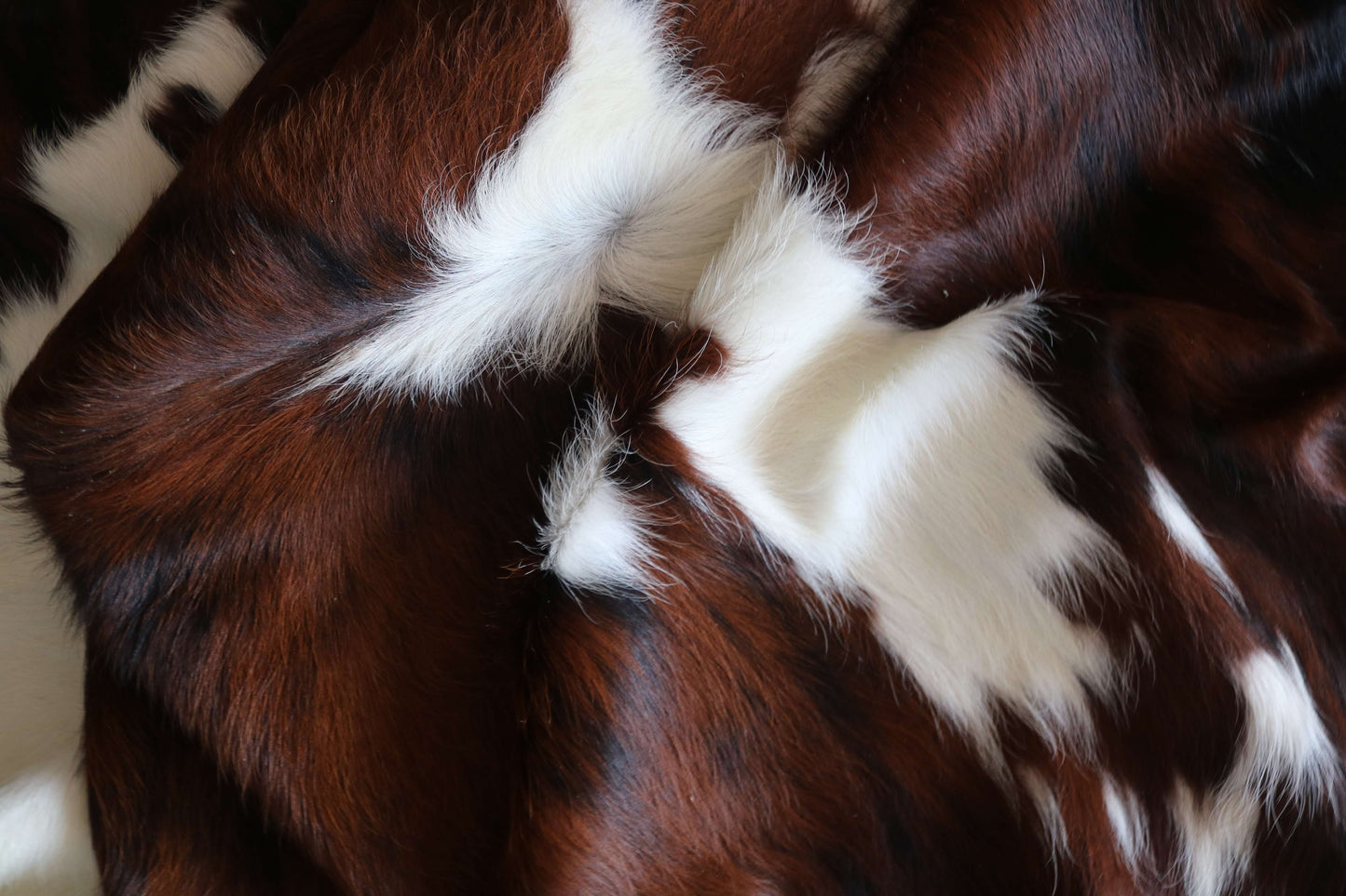 100292 -TRICOLOR  Cowhide Rug - Quebecuir Premium Collection