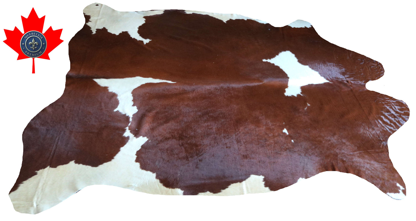 100293 - SUPER BIG  SIZE XXXL BROWN & WHITE  Cowhide Rug - Quebecuir Premium Collection
