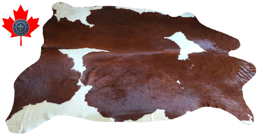 100293 - SUPER BIG  SIZE XXXL BROWN & WHITE  Cowhide Rug - Quebecuir Premium Collection
