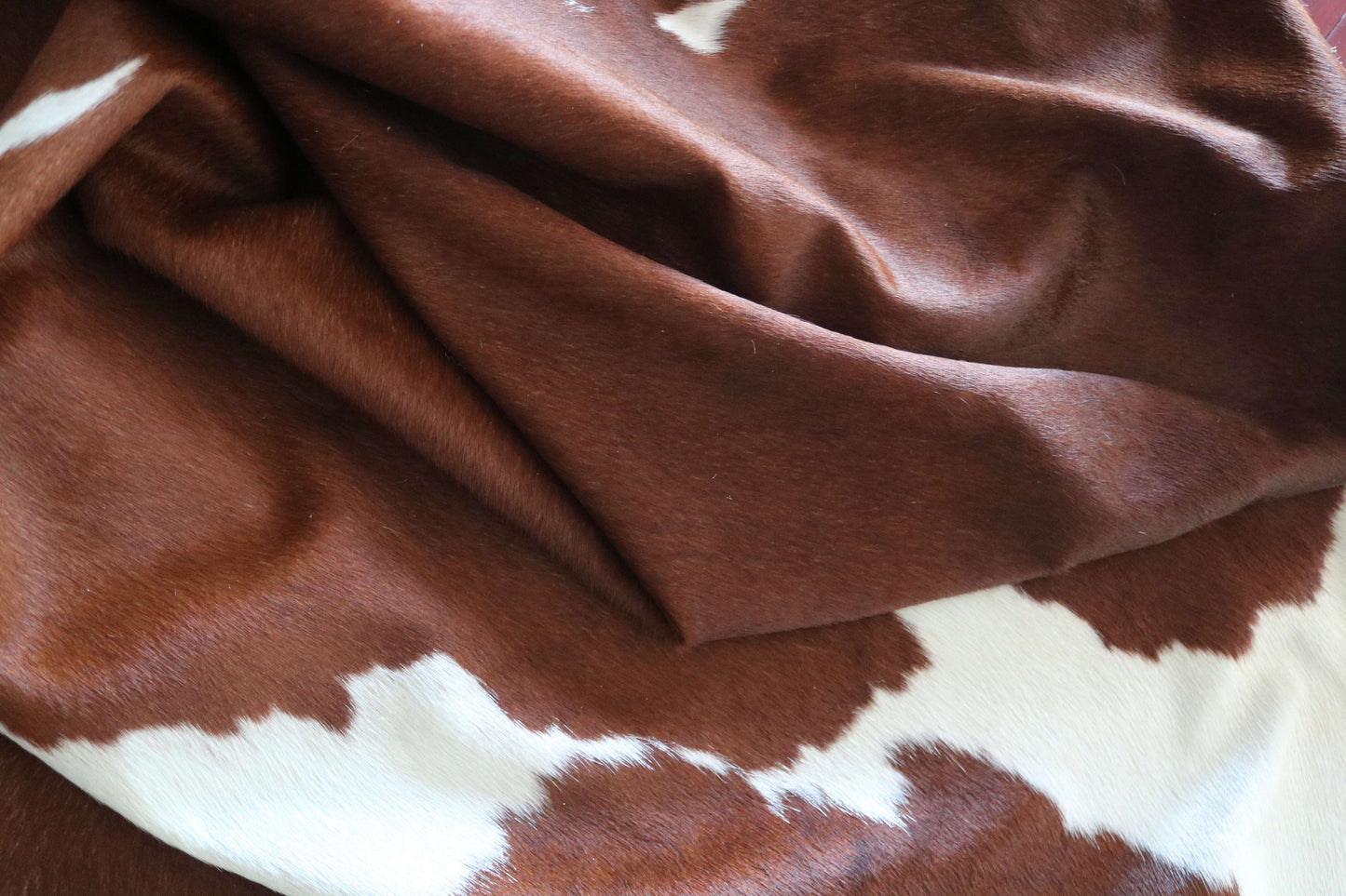 100293 - SUPER BIG  SIZE XXXL BROWN & WHITE  Cowhide Rug - Quebecuir Premium Collection