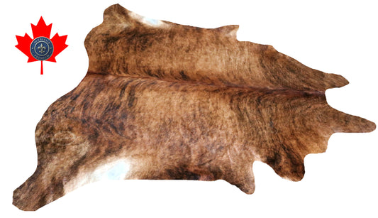 98993- Cowhide Rug Tapis Peau de Vache -BIG SIZE XL Collection Quebecuir Premium