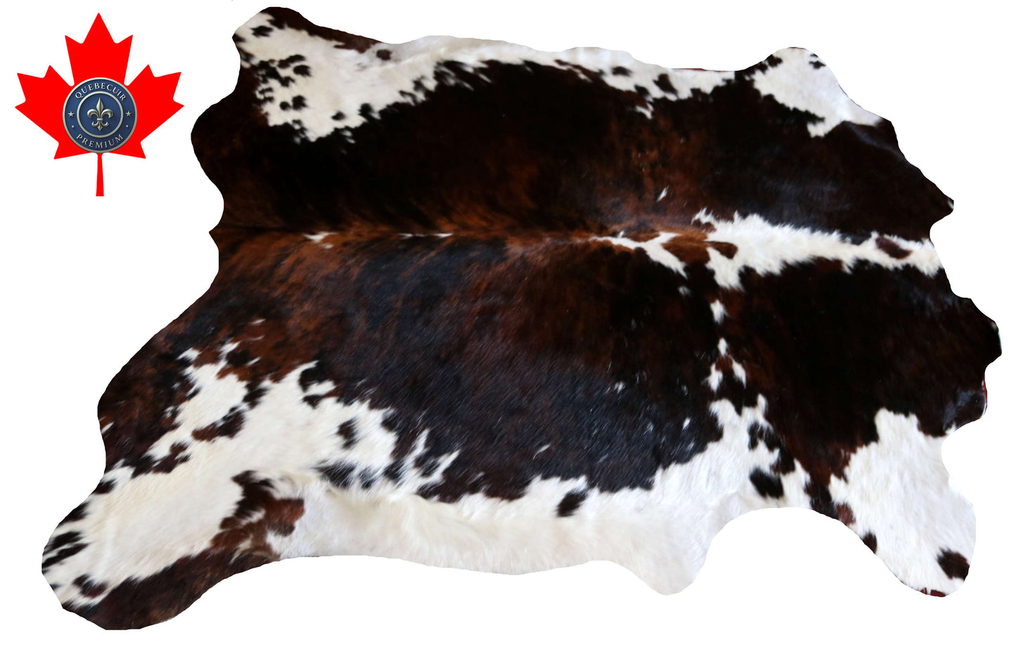 100295 -TRICOLOR  Cowhide Rug - Quebecuir Premium Collection