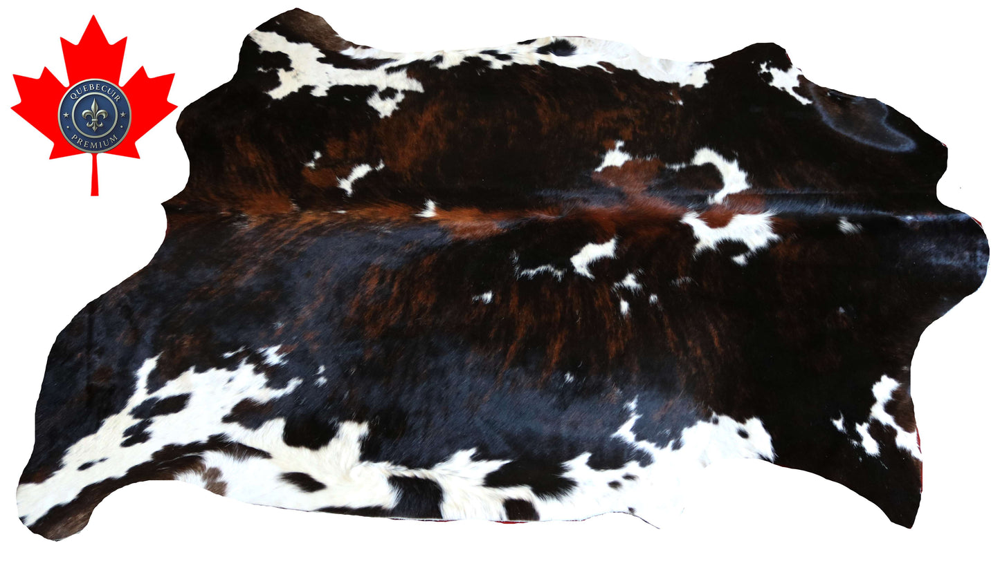 100296 -TRICOLOR  Cowhide Rug - Quebecuir Premium Collection