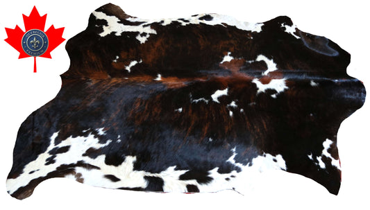 100296 -TRICOLOR  Cowhide Rug - Quebecuir Premium Collection