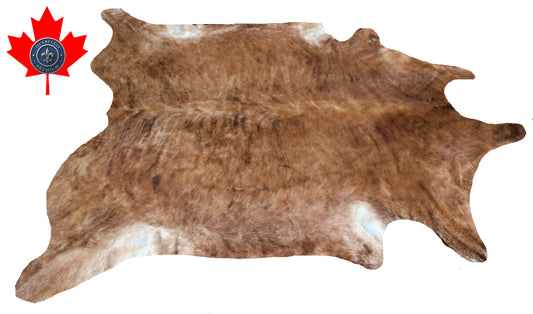 98996- Cowhide Rug Tapis Peau de Vache -BIG SIZE XL Collection Quebecuir Premium