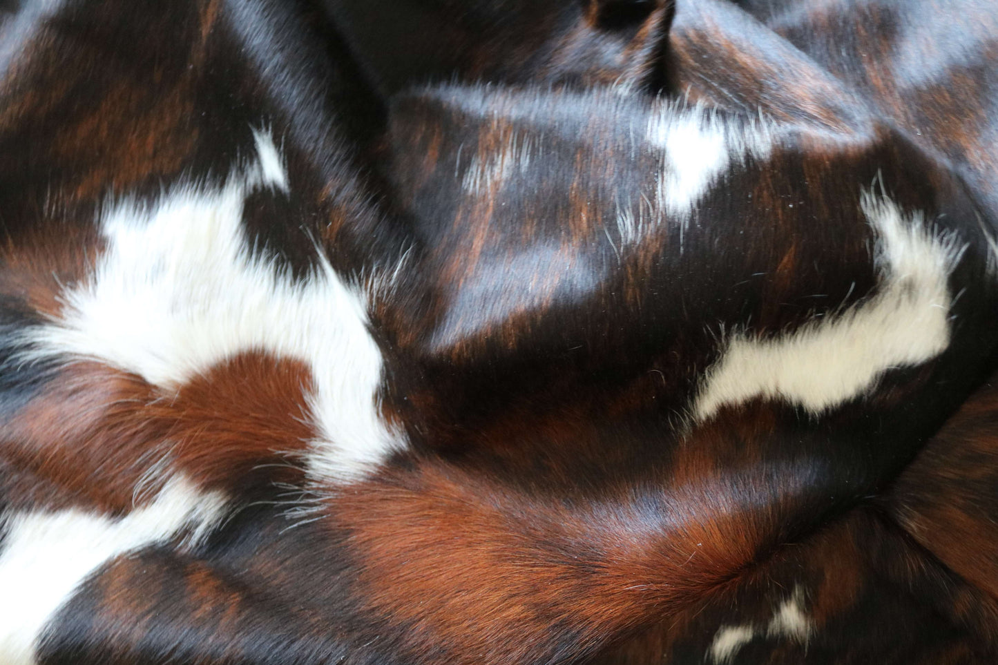 100296 -TRICOLOR  Cowhide Rug - Quebecuir Premium Collection