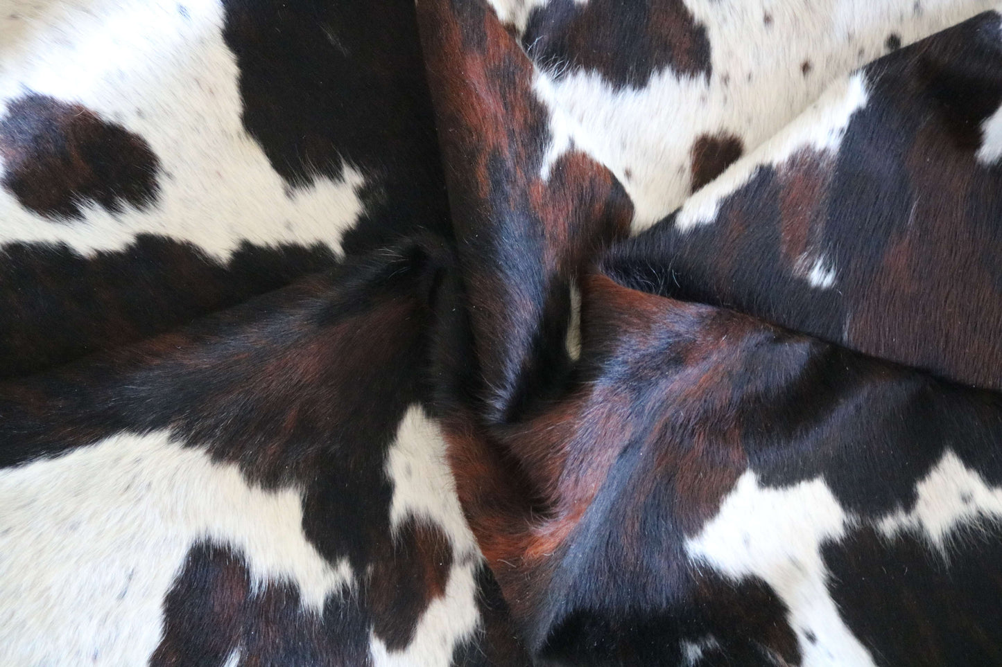 100297- SUPER BIG  SIZE XXXL TRICOLOR  Cowhide Rug - Quebecuir Premium Collection