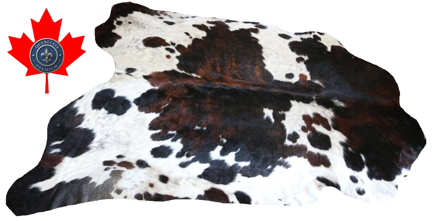 100298- SUPER BIG  SIZE XXXL TRICOLOR  Cowhide Rug - Quebecuir Premium Collection