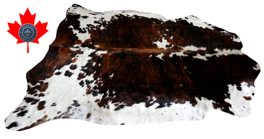 200107- Cowhide Rug Tapis Peau de Vache SUPER BIG SIZE XXXL - Collection Quebecuir Premium