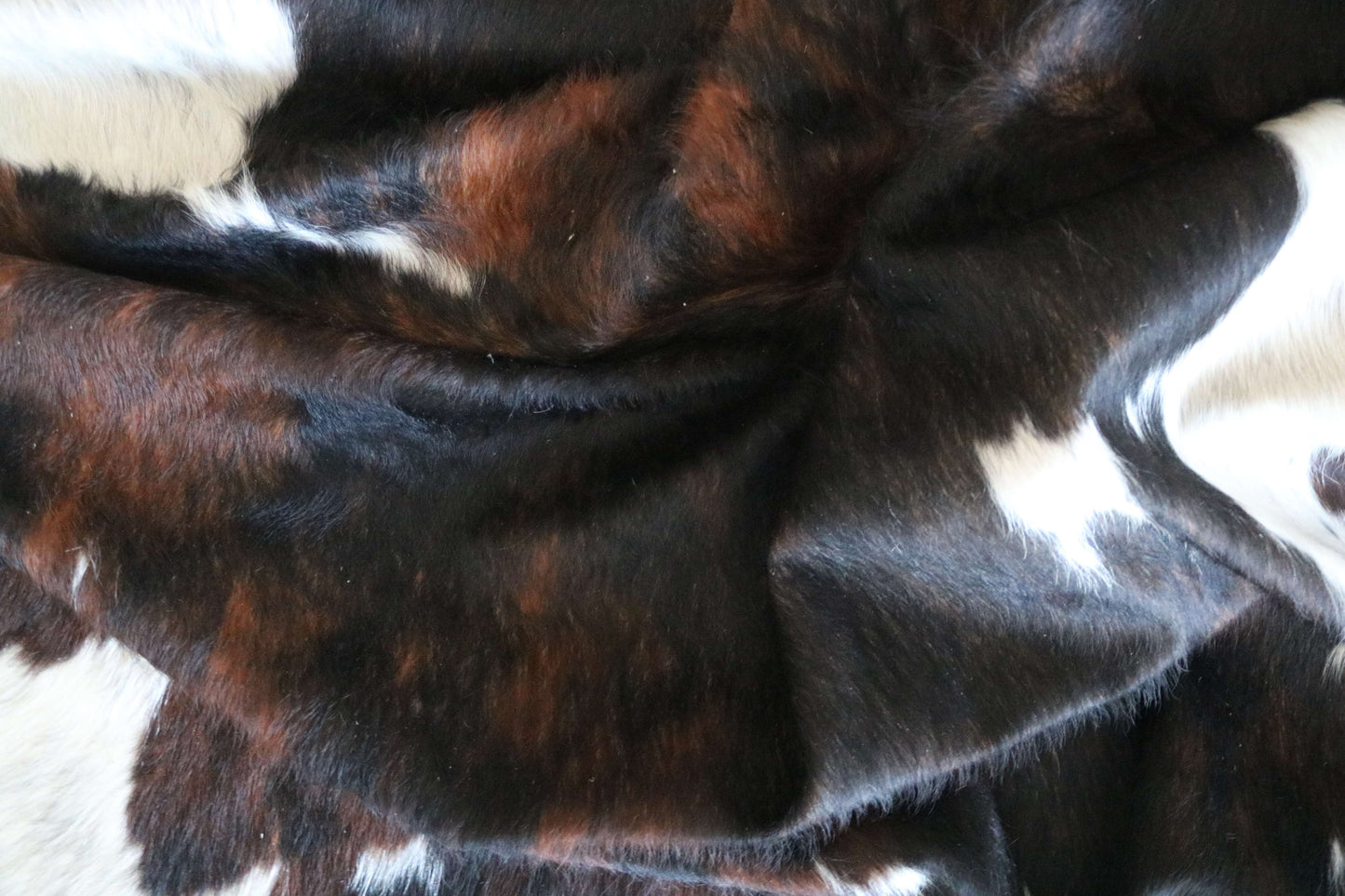 100298- SUPER BIG  SIZE XXXL TRICOLOR  Cowhide Rug - Quebecuir Premium Collection