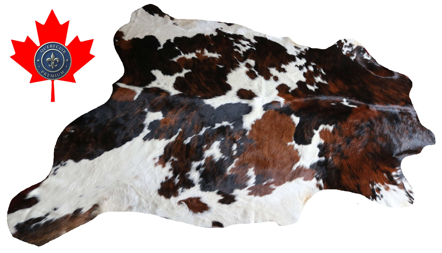 100299-  TRICOLOR  Cowhide Rug - Quebecuir Premium Collection