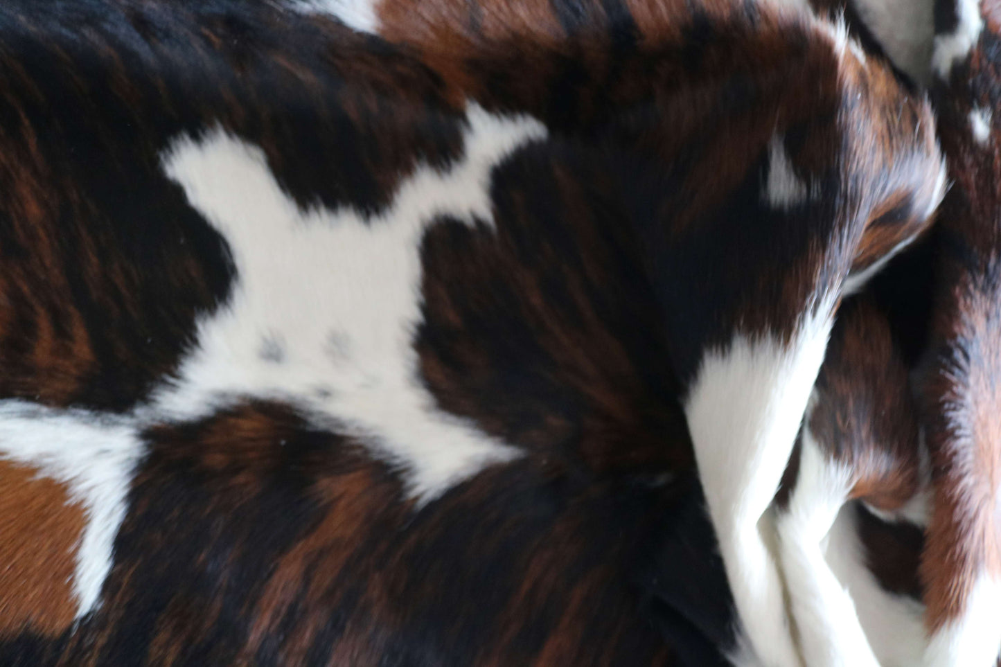 100299-  TRICOLOR  Cowhide Rug - Quebecuir Premium Collection