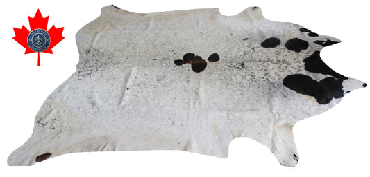 200108- Cowhide Rug Tapis Peau de Vache SUPER BIG SIZE XXXL - Collection Quebecuir Premium