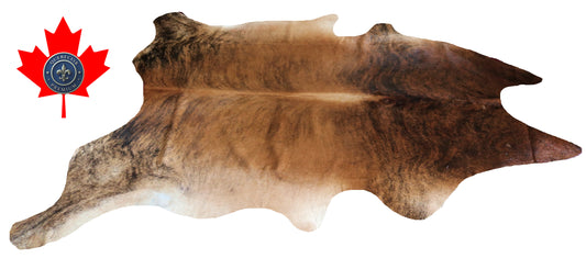 200109- Cowhide Rug Tapis Peau de Vache SUPER BIG SIZE XXXL - Collection Quebecuir Premium