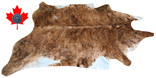 200110- Cowhide Rug Tapis Peau de Vache SUPER BIG SIZE XXXL - Collection Quebecuir Premium