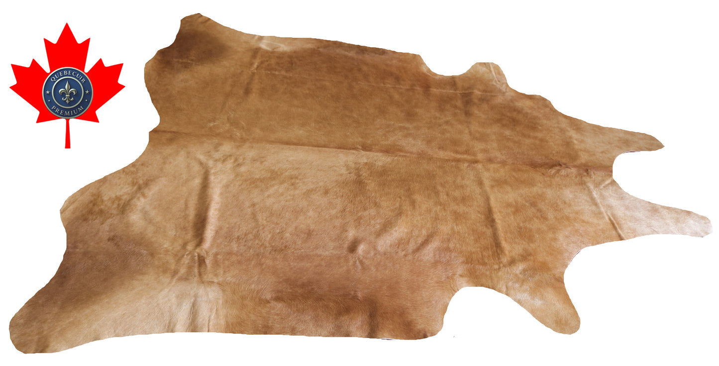 200113- Cowhide Rug Tapis Peau de Vache SUPER BIG SIZE XXXL - Collection Quebecuir Premium