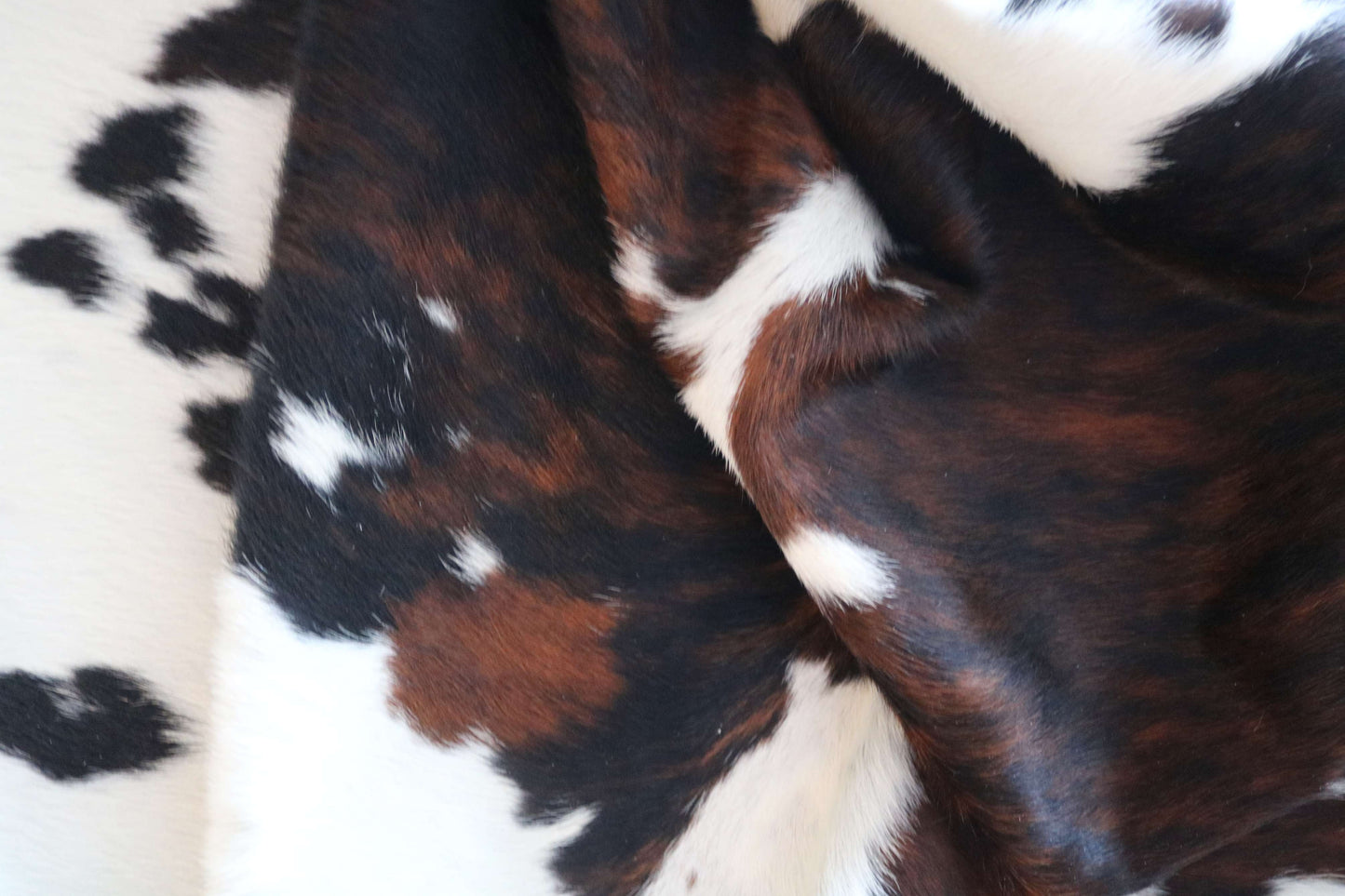 100302- TRICOLOR  Cowhide Rug - Quebecuir Premium Collection