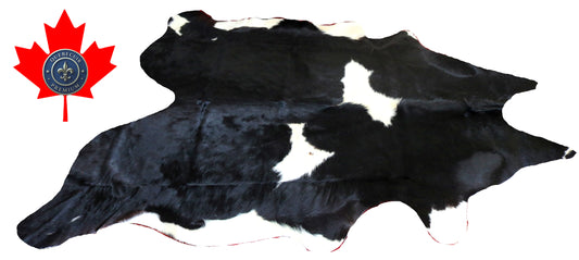 200114- Cowhide Rug Tapis Peau de Vache SUPER BIG SIZE XXXL - Collection Quebecuir Premium