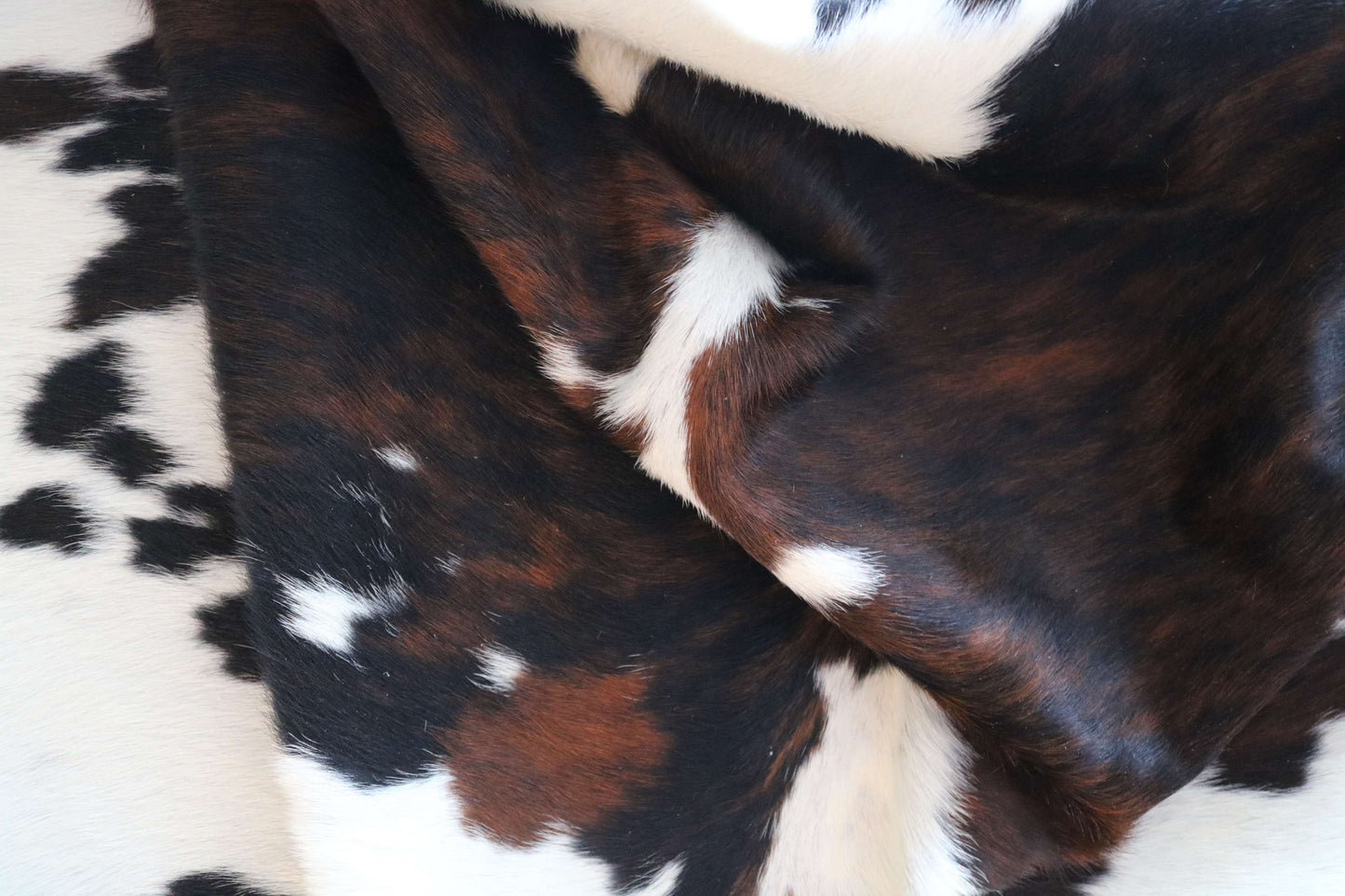 100302- TRICOLOR  Cowhide Rug - Quebecuir Premium Collection
