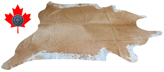 200115- Cowhide Rug Tapis Peau de Vache SUPER BIG SIZE XXXL - Collection Quebecuir Premium