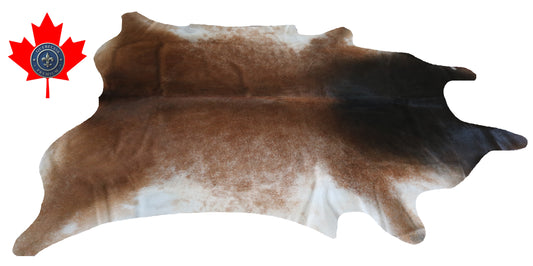 200116- Cowhide Rug Tapis Peau de Vache SUPER BIG SIZE XXXL - Collection Quebecuir Premium