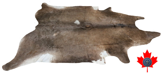 200117- Cowhide Rug Tapis Peau de Vache SUPER BIG SIZE XXXL - Collection Quebecuir Premium