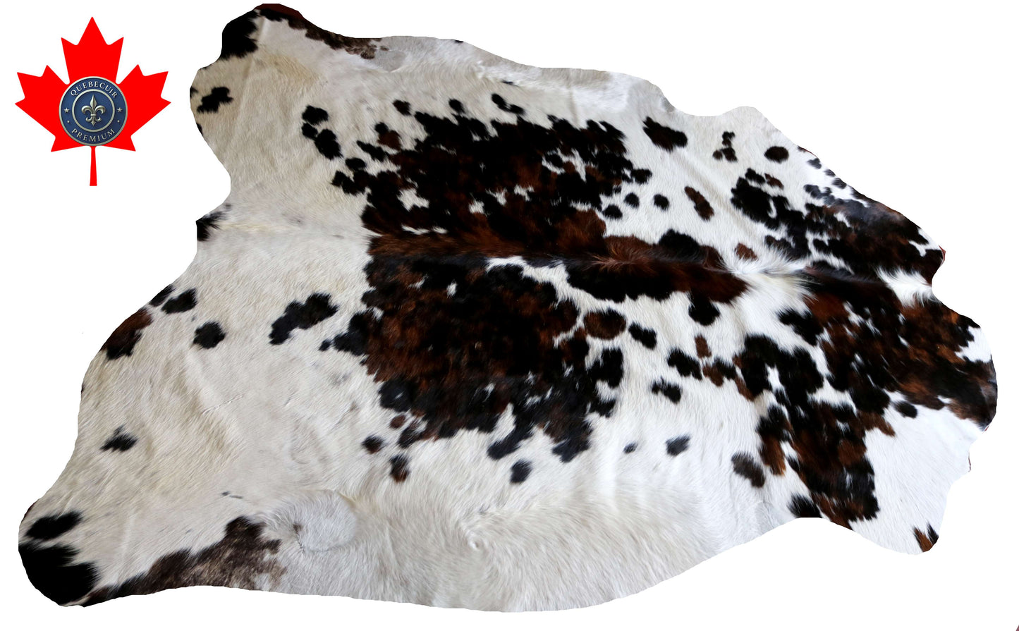 100304 - TRICOLOR  Cowhide Rug XL - Quebecuir Premium Collection