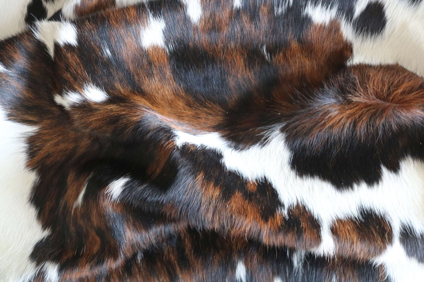 100304 - TRICOLOR  Cowhide Rug XL - Quebecuir Premium Collection