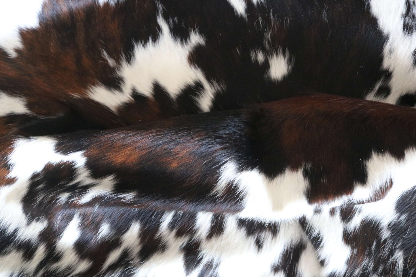 100305- TRICOLOR  Cowhide Rug XL - Quebecuir Premium Collection