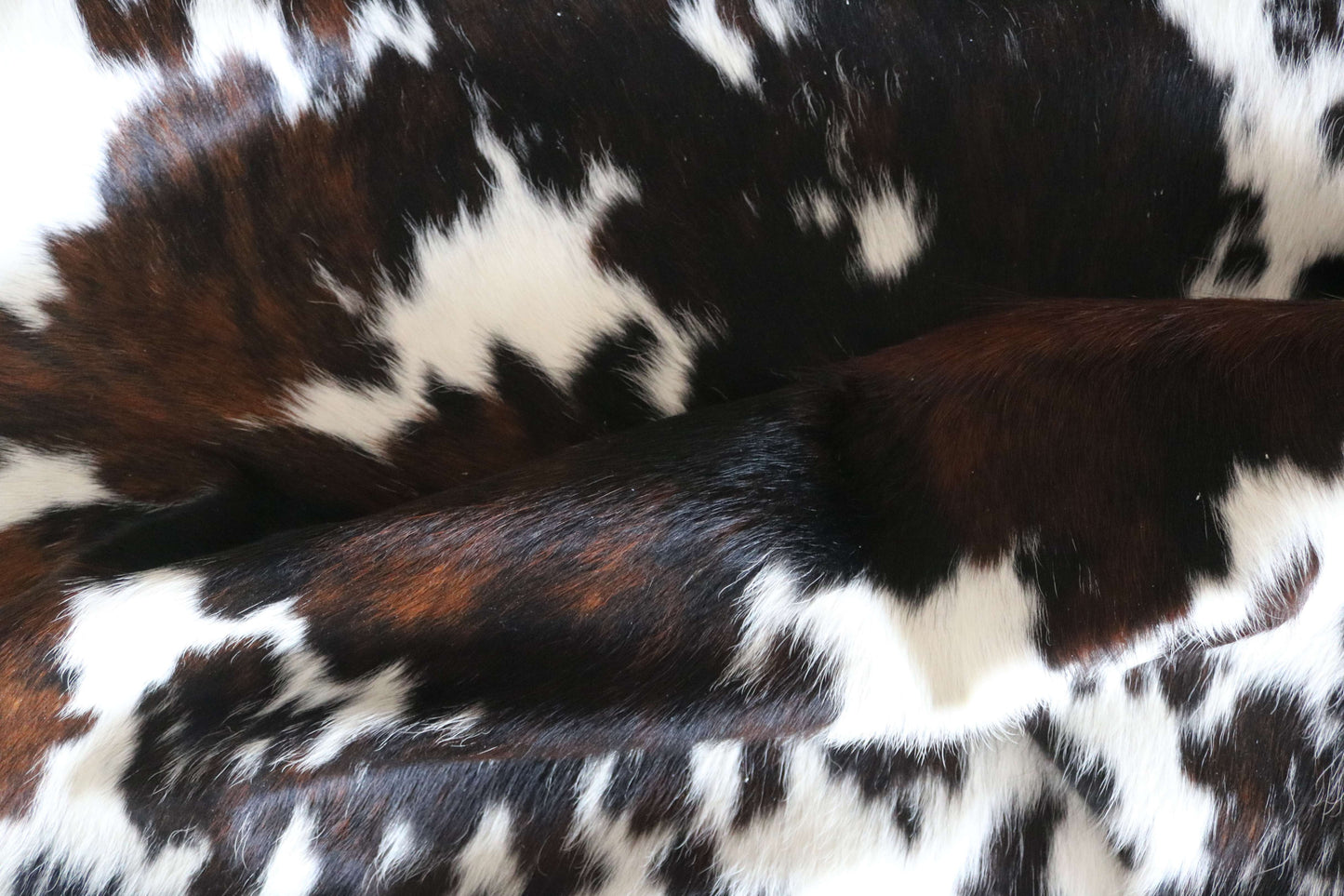 100305- TRICOLOR  Cowhide Rug XL - Quebecuir Premium Collection
