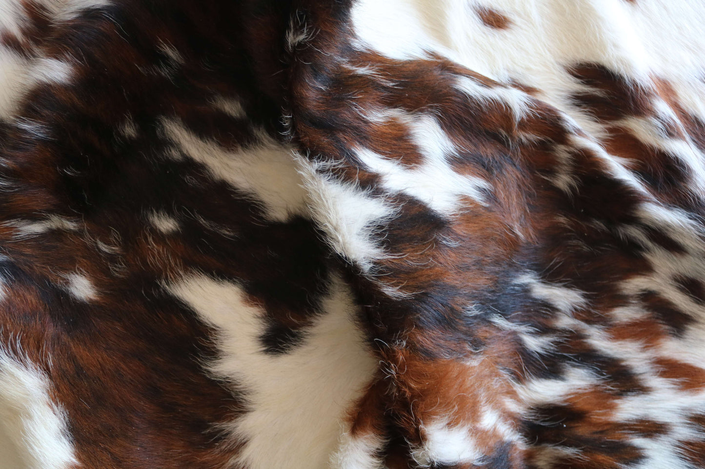 200660- SUPER BIG  SIZE XXXL TRICOLOR  Cowhide Rug - Quebecuir Premium Collection