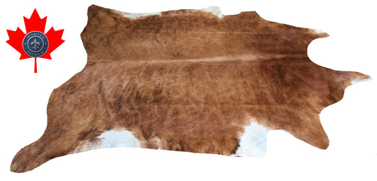 200123- Cowhide Rug Tapis Peau de Vache SUPER BIG SIZE XXXL - Collection Quebecuir Premium