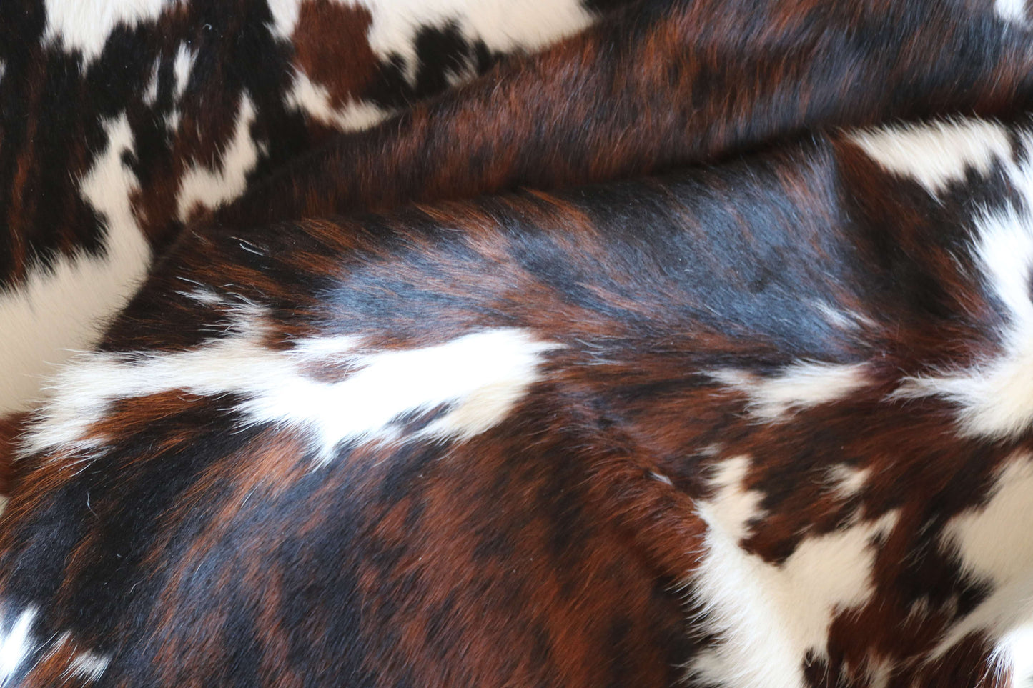 200661- SUPER BIG  SIZE XXXL TRICOLOR  Cowhide Rug - Quebecuir Premium Collection