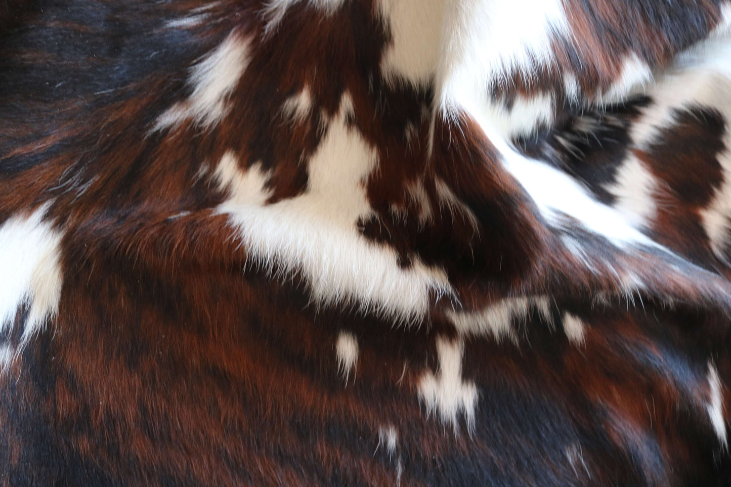 200661- SUPER BIG  SIZE XXXL TRICOLOR  Cowhide Rug - Quebecuir Premium Collection