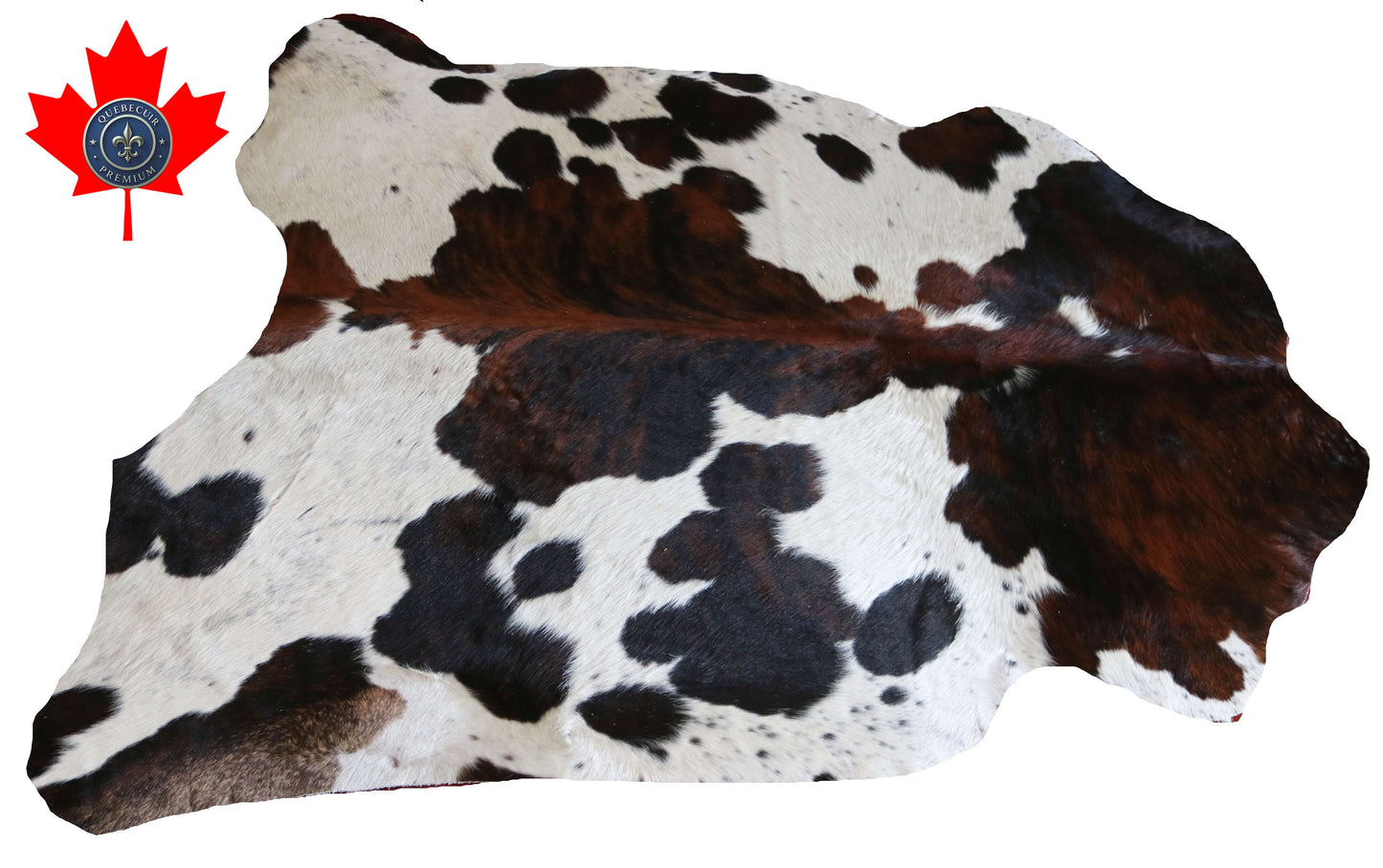 100306-  TRICOLOR  Cowhide Rug - Quebecuir Premium Collection