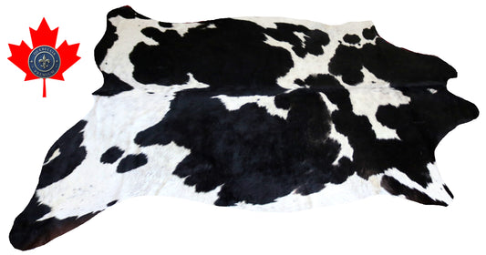 200129- Cowhide Rug Tapis Peau de Vache - Collection Quebecuir Premium