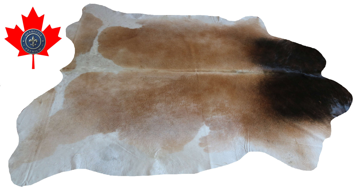 100308 - TRICOLOR  Cowhide Rug XL - Quebecuir Premium Collection