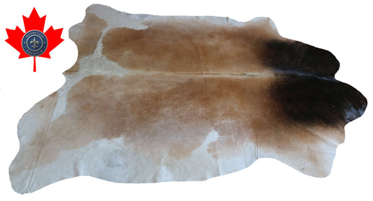 100308 - TRICOLOR  Cowhide Rug XL - Quebecuir Premium Collection