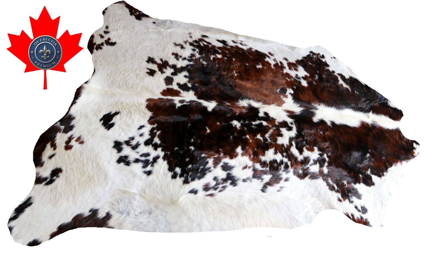 100310 - TRICOLOR  Cowhide Rug XL - Quebecuir Premium Collection