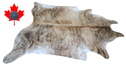 200135- Cowhide Rug Tapis Peau de Vache SUPER BIG SIZE XXXL - Collection Quebecuir Premium
