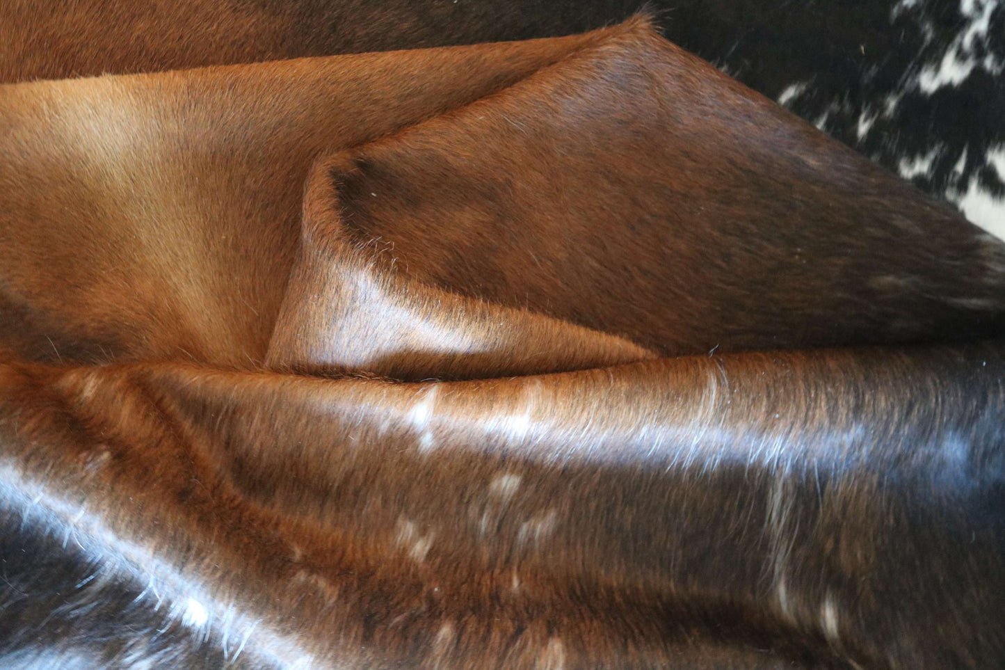 100311- SUPER BIG  SIZE XXXL TRICOLOR  Cowhide Rug - Quebecuir Premium Collection