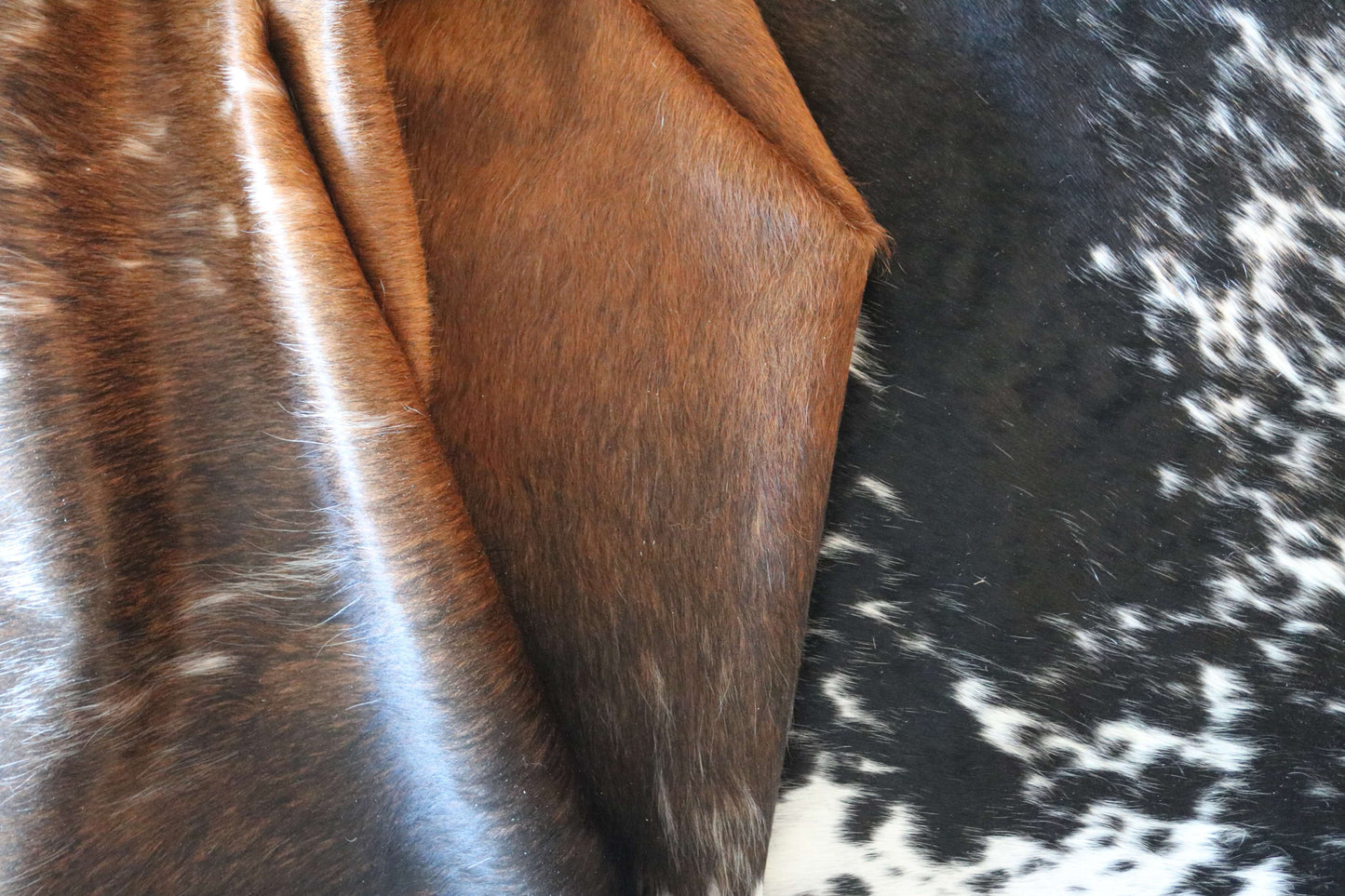 100311- SUPER BIG  SIZE XXXL TRICOLOR  Cowhide Rug - Quebecuir Premium Collection