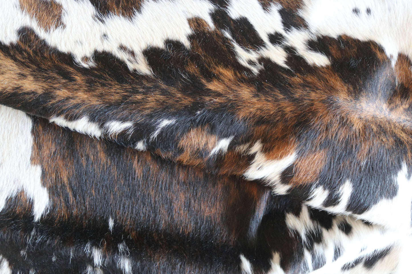 100312 - TRICOLOR  Cowhide Rug XL - Quebecuir Premium Collection