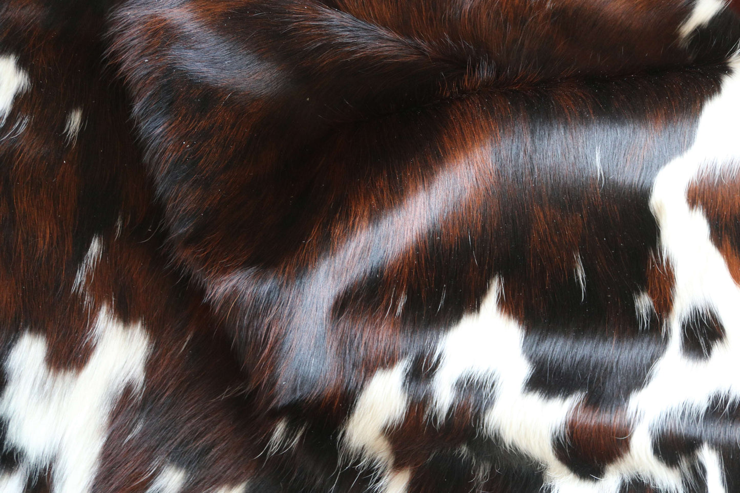 100314 - TRICOLOR  Cowhide Rug XL - Quebecuir Premium Collection