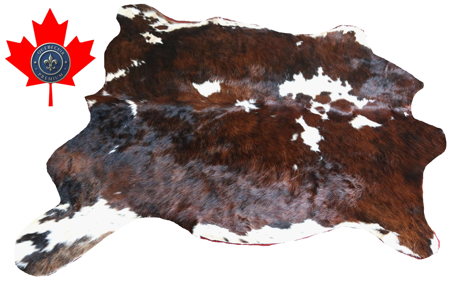 100315 - TRICOLOR  Cowhide Rug XL - Quebecuir Premium Collection