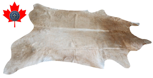 200143- Cowhide Rug Tapis Peau de Vache SUPER BIG SIZE XXXL - Collection Quebecuir Premium