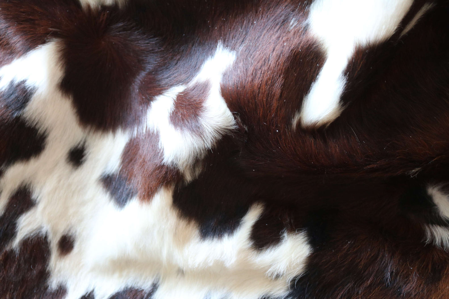 100315 - TRICOLOR  Cowhide Rug XL - Quebecuir Premium Collection