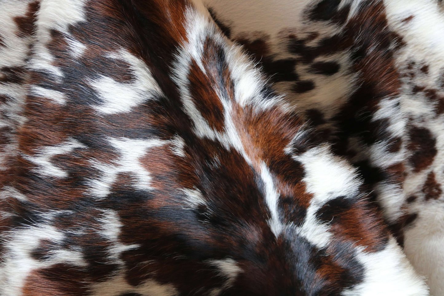 200662 - TRICOLOR  Cowhide Rug XL - Quebecuir Premium Collection