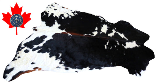 200147 - Cowhide Rug Tapis Peau de Vache -Collection Quebecuir Premium